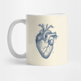 Human Heart Diagram - Vintage Anatomy Mug